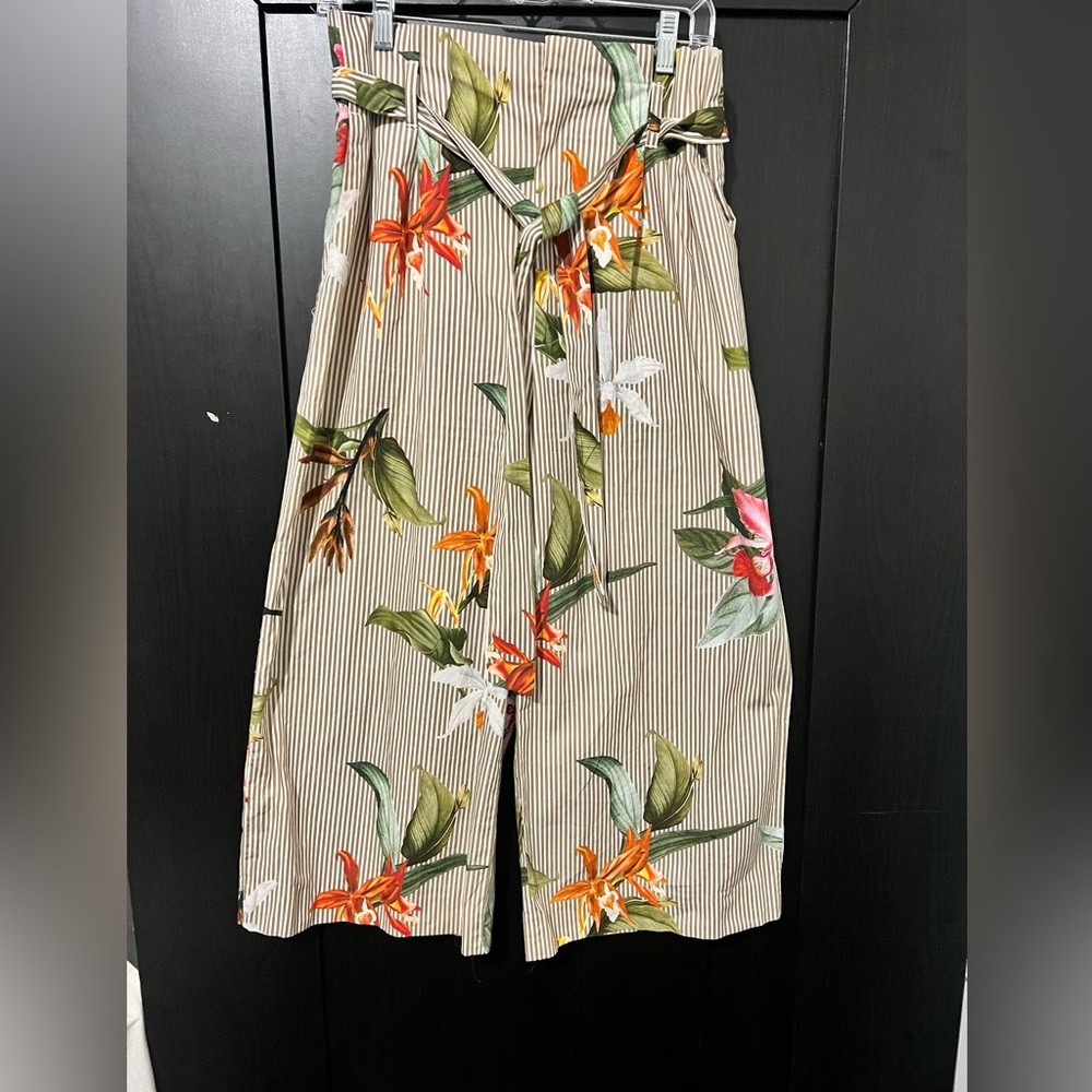 Zara Cinched High Waisted Wide Leg Floral Striped Pants
